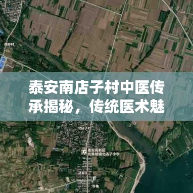 泰安南店子村中医传承揭秘，传统医术魅力最新视频欣赏