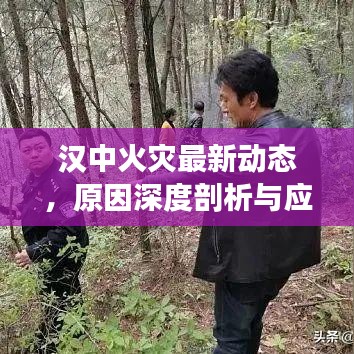 汉中火灾最新动态,原因深度剖析与应对之策探讨