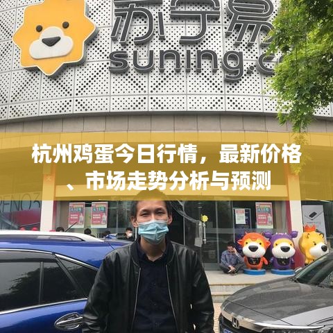 杭州鸡蛋今日行情，最新价格、市场走势分析与预测