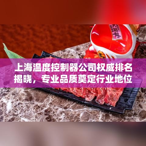 上海温度控制器公司权威排名揭晓,专业品质奠定行业地位