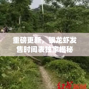 云屯鸟散 第6页