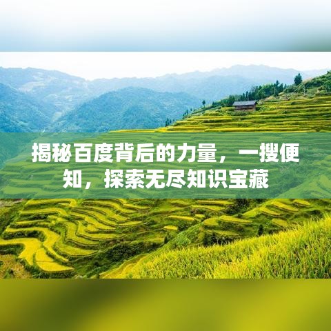 揭秘百度背后的力量，一搜便知，探索无尽知识宝藏
