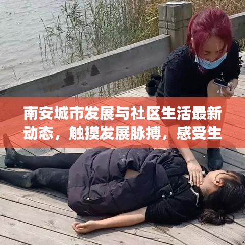 南安城市发展与社区生活最新动态，触摸发展脉搏，感受生活色彩