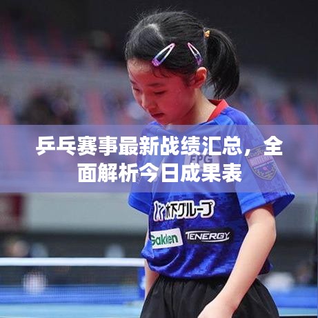 乒乓赛事最新战绩汇总，全面解析今日成果表