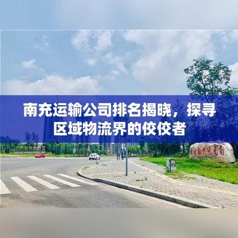 南充运输公司排名揭晓，探寻区域物流界的佼佼者