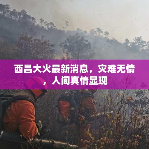 西昌大火最新消息，灾难无情，人间真情显现