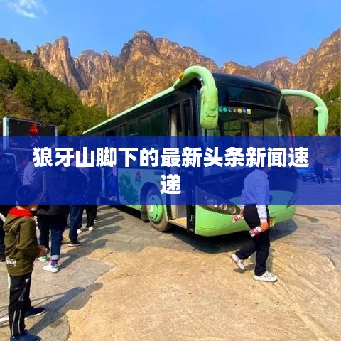狼牙山脚下的最新头条新闻速递