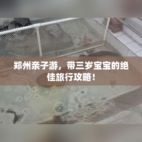 郑州亲子游，带三岁宝宝的绝佳旅行攻略！