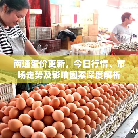 南通蛋价更新，今日行情、市场走势及影响因素深度解析