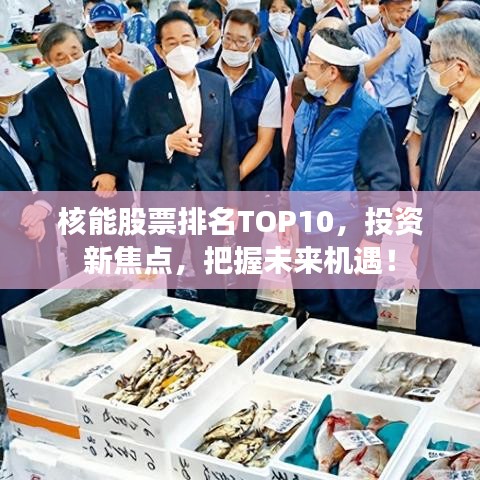 核能股票排名TOP10，投资新焦点，把握未来机遇！