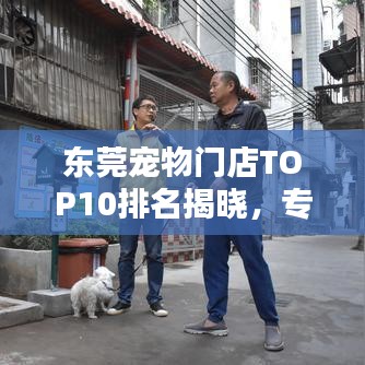 东莞宠物门店TOP10排名揭晓，专业与贴心并存的宠物服务体验