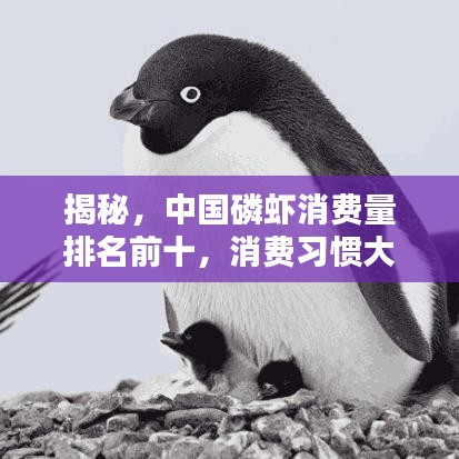 揭秘，中国磷虾消费量排名前十，消费习惯大解析！