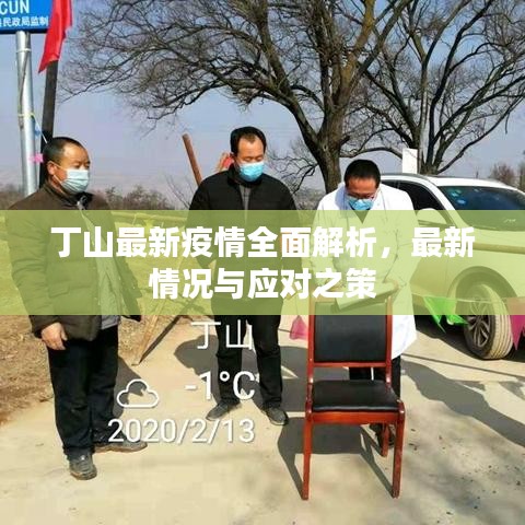 丁山最新疫情全面解析，最新情况与应对之策