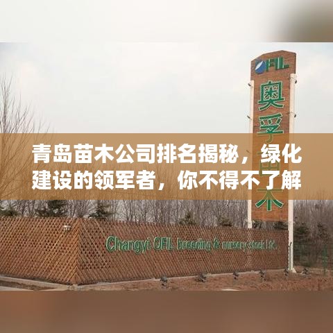 青岛苗木公司排名揭秘,绿化建设的领军者,你不得不了解的佼佼者!