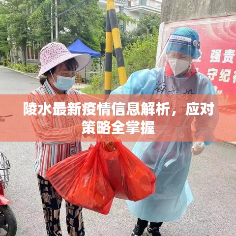 陵水最新疫情信息解析，应对策略全掌握