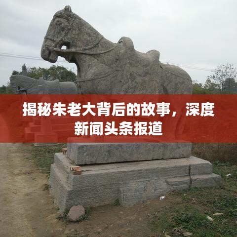 揭秘朱老大背后的故事,深度新闻头条报道