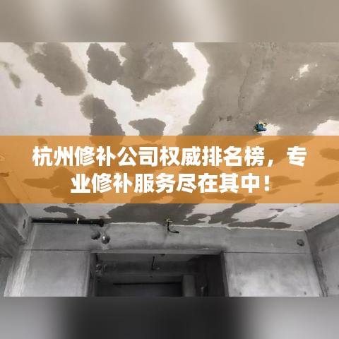 杭州修补公司权威排名榜,专业修补服务尽在其中!