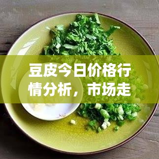 豆皮今日价格行情分析，市场走势预测与最新动态