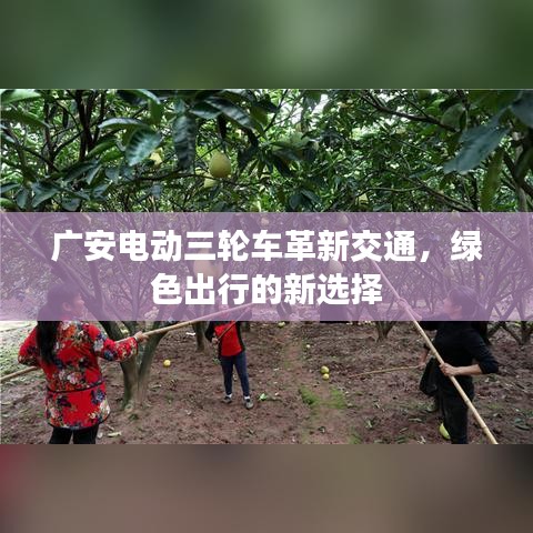 广安电动三轮车革新交通，绿色出行的新选择