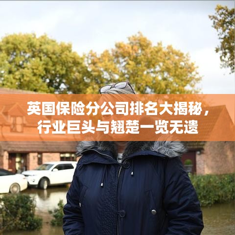 英国保险分公司排名大揭秘，行业巨头与翘楚一览无遗