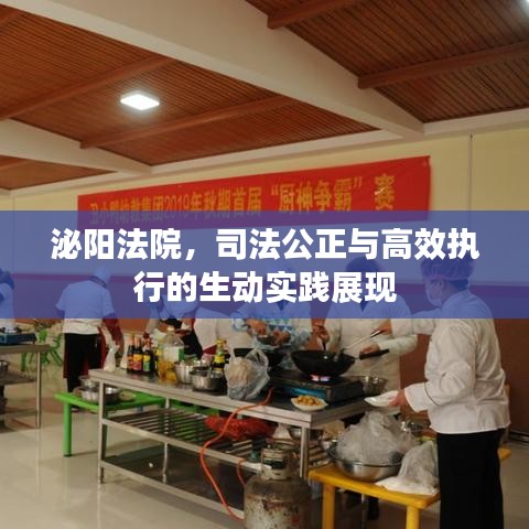 泌阳法院，司法公正与高效执行的生动实践展现