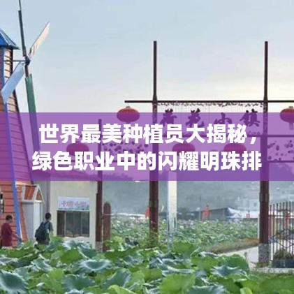世界最美种植员大揭秘，绿色职业中的闪耀明珠排名榜单！