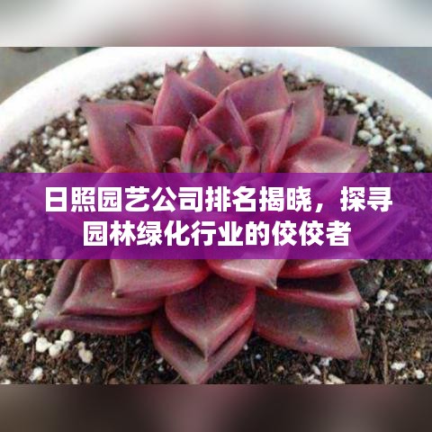 日照园艺公司排名揭晓，探寻园林绿化行业的佼佼者