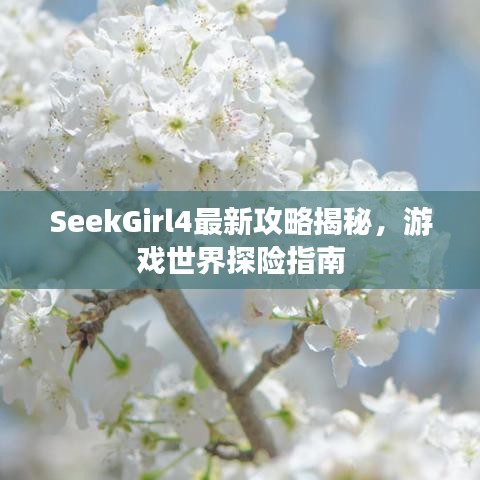 SeekGirl4最新攻略揭秘，游戏世界探险指南