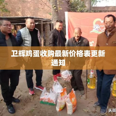 卫辉鸡蛋收购最新价格表更新通知