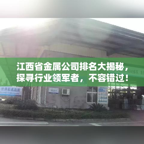江西省金属公司排名大揭秘，探寻行业领军者，不容错过！