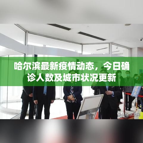 哈尔滨最新疫情动态，今日确诊人数及城市状况更新