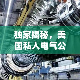 独家揭秘,美国私人电气公司权威排名榜单!