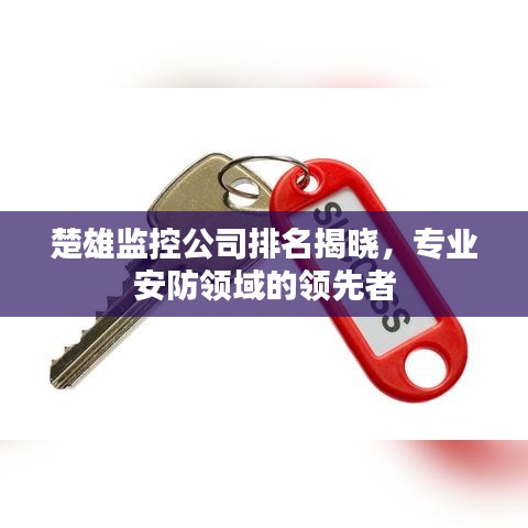 楚雄监控公司排名揭晓，专业安防领域的领先者
