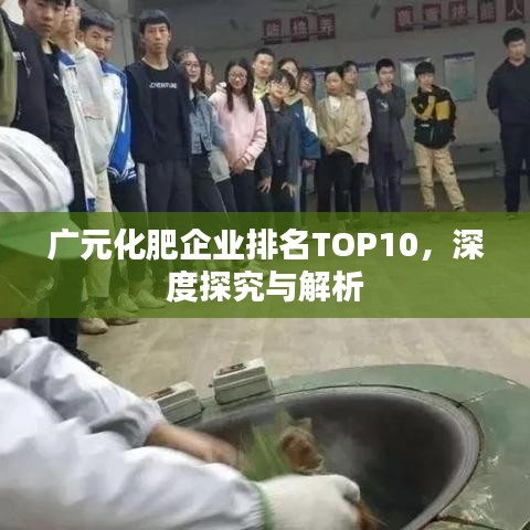 广元化肥企业排名TOP10，深度探究与解析