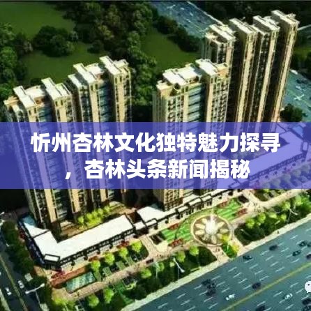 忻州杏林文化独特魅力探寻，杏林头条新闻揭秘