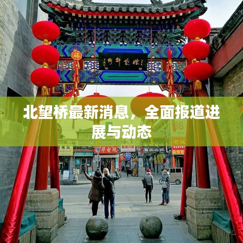 北望桥最新消息，全面报道进展与动态
