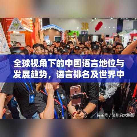 全球视角下的中国语言地位与发展趋势，语言排名及世界中的影响力分析