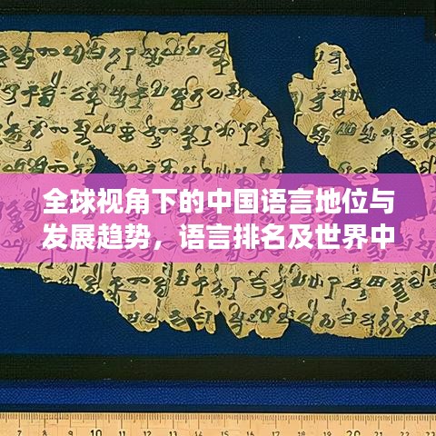 全球视角下的中国语言地位与发展趋势,语言排名及世界中的影响力分析