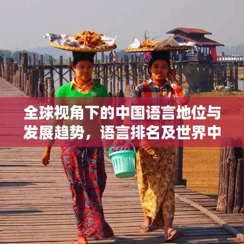 全球视角下的中国语言地位与发展趋势,语言排名及世界中的影响力分析