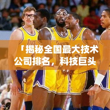 「揭秘全国最大技术公司排名，科技巨头背后的力量角逐」