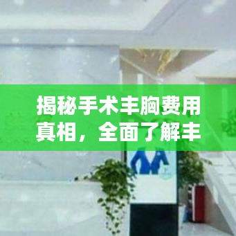 揭秘手术丰胸费用真相，全面了解丰胸费用细节！