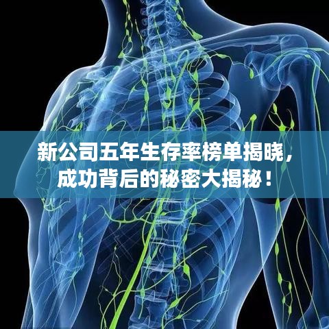 新公司五年生存率榜单揭晓，成功背后的秘密大揭秘！