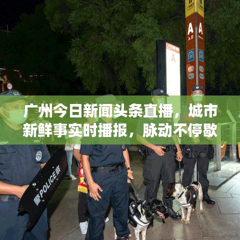 广州今日新闻头条直播，城市新鲜事实时播报，脉动不停歇