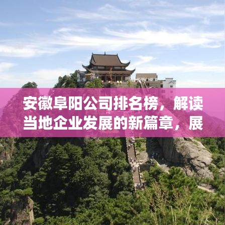 安徽阜阳公司排名榜，解读当地企业发展的新篇章，展现繁荣新态势！