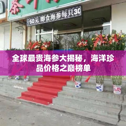 全球最贵海参大揭秘，海洋珍品价格之巅榜单