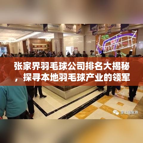 张家界羽毛球公司排名大揭秘,探寻本地羽毛球产业的领军者