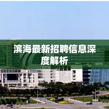 滨海最新招聘信息深度解析