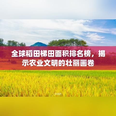 全球稻田梯田面积排名榜，揭示农业文明的壮丽画卷