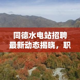 同德水电站招聘最新动态揭晓，职位空缺与公告更新全解析