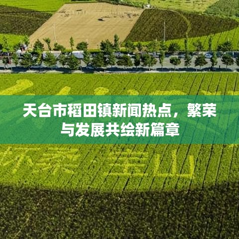 天台市稻田镇新闻热点，繁荣与发展共绘新篇章
